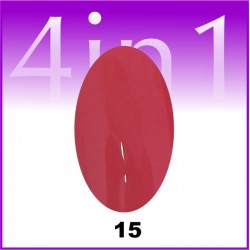 Gel color One Stroke 4 in 1 #15